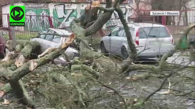 Wiatr łamał drzewa, spadały na samochody. Załamanie pogody